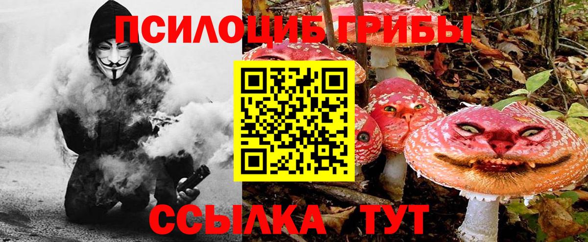 Прокопьевск  Псилоцибиновые грибы мицелий  Вход с VPN 
