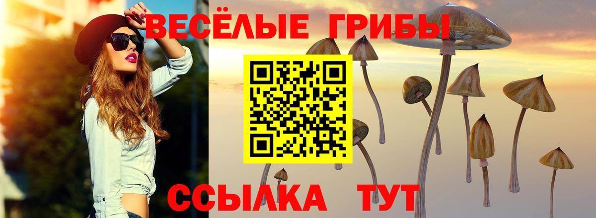 Галлюциногенные грибы Psilocybine cubensis Прокопьевск