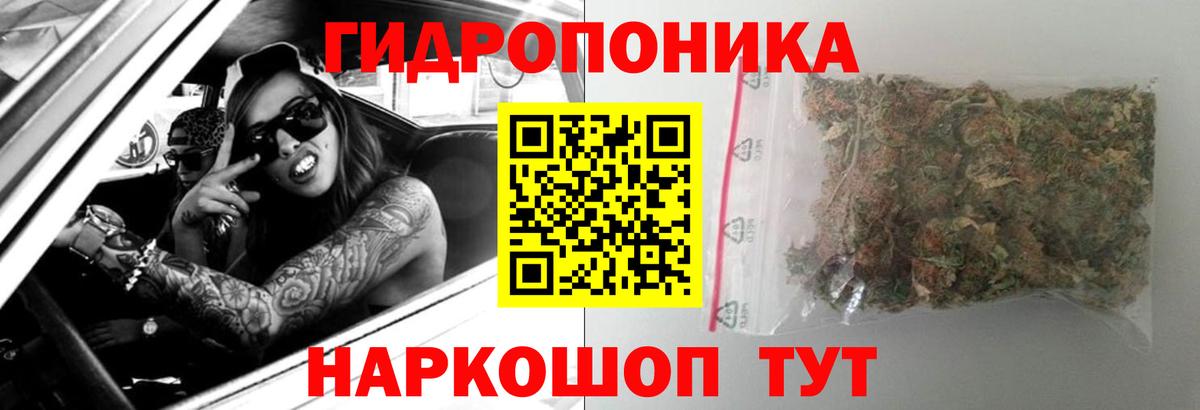 Шишки марихуана план  Марихуана план  Вход с VPN  Прокопьевск  Шишки марихуана OG Kush  Бошки марихуана THC 21% 